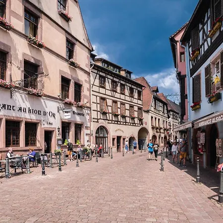 Apartment Au Coeur Du Vieux - Parking Prive & Wifi Kaysersberg-Vignoble
