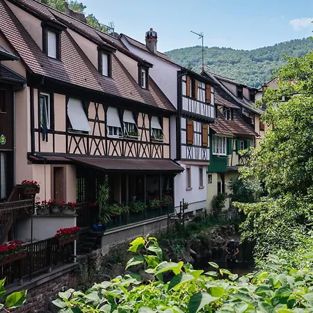 Au Coeur Du Vieux - Parking Prive & Wifi Kaysersberg-Vignoble